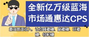 全新亿万级蓝海市场通惠达cps，最强管道收入，让你睡着赚、躺着赚、玩着赚、轻松赚【揭秘】-润泽资源库