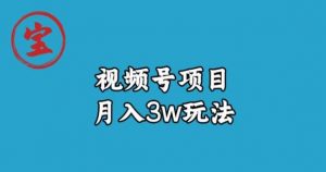 宝哥视频号无货源带货视频月入3w,详细复盘拆解-润泽资源库