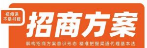 王昕招商方案，解构招商方案意识形态，精准把握渠道代理基本法-润泽资源库