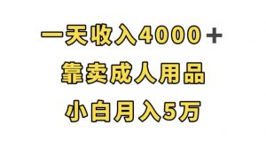 一天收入4000+,靠卖成人用品,小白轻松月入5万【揭秘】-润泽资源库