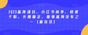 2023蓝海项目，小红书商单，快速千粉，长期稳定，最强蓝海没有之一（新玩法）-润泽资源库