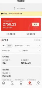 拼多多无人直播不封号玩法，0投入，3天必起，日入1000+-润泽资源库