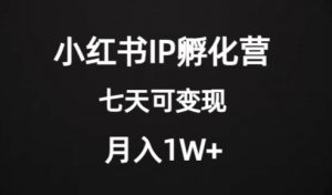 价值2000+的小红书IP孵化营项目,超级大蓝海,七天即可开始变现,稳定月入1W+-润泽资源库