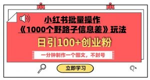 小红书批量操作《1000个野路子信息差》玩法,一分钟制作一个图文,不封号,日引100+创业粉-润泽资源库