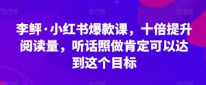 李鲆·小红书爆款课，十倍提升阅读量，听话照做肯定可以达到这个目标-润泽资源库