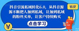 抖音引流私域转化6.0,从抖音源源不断把人加到私域,让加到私域的粉丝买单,让客户持续购买-润泽资源库