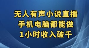 抖音无人有声小说直播，手机电脑都能做，1小时收入破千【揭秘】-润泽资源库