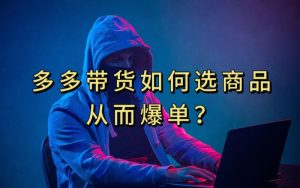 多多视频带货选什么商品链接才能爆单，10分钟教会你，爆单不是浮云【揭秘】-润泽资源库