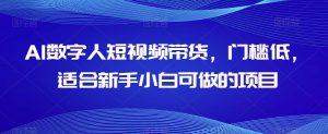 AI数字人短视频带货,门槛低,适合新手小白可做的项目-润泽资源库