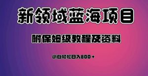 虚拟资源蓝海领域新项目，轻松日入800＋，附保姆级教程及资料-润泽资源库