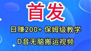 首发，抖音无脑搬运视频，日赚200+保姆级教学【揭秘】-润泽资源库