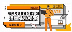 一条视频收益3000+，一条作品涨粉2000+，视频号流量爆炸·的秘籍-润泽资源库