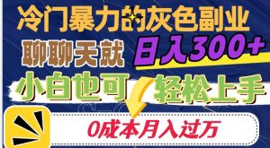 冷门暴利的副业项目,聊聊天就能日入300+,0成本月入过万【揭秘】-润泽资源库