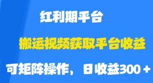 搬运视频获取平台收益，平台红利期，附保姆级教程【揭秘】-润泽资源库