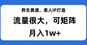 养生赛道，素人IP打造，流量很大，可矩阵，月入1w+【揭秘】-润泽资源库