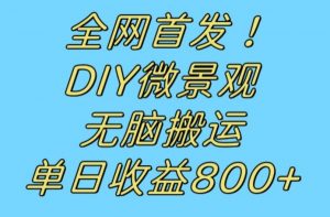 全网首发冷门赛道!DIY微景观,无脑搬运视频,日收益800+【揭秘】-润泽资源库