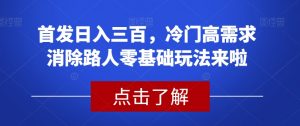 首发日入三百，冷门高需求消除路人零基础玩法来啦【揭秘】-润泽资源库