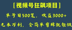 日收款500笔,纯利润3000+,视频号狂飙项目,会简单剪辑就能做【揭秘】-润泽资源库