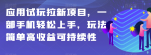 应用试玩拉新项目，一部手机轻松上手，玩法简单高收益可持续性【揭秘】-润泽资源库
