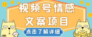 视频号情感文案项目，简单操作，新手小白轻松上手日入200+【揭秘】-润泽资源库