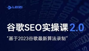 雷子·谷歌SEO 2.0实战课,独立站询盘自由必备,基于2023谷歌最新算法录制-润泽资源库