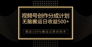 最新视频号创作分成计划，无脑搬运一天收益500+，100%搬运过原创技巧【揭秘】-润泽资源库