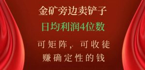 金矿旁边卖铲子，赚确定性的钱，可矩阵，可收徒，日均利润4位数【揭秘】-润泽资源库