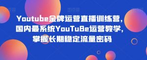 Youtube金牌运营直播训练营，国内最系统YouTuBe运营教学，掌握长期稳定流量密码-润泽资源库