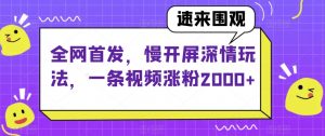 全网首发，慢开屏深情玩法，一条视频涨粉2000+【揭秘】-润泽资源库