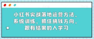小红书实战落地运营方法，系统训练，抓住搞钱方向，跟有结果的人学习-润泽资源库