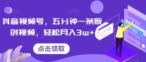 抖音视频号，五分钟一条原创视频，轻松月入3w+【独家秘诀，传授赚钱方法】【揭秘】-润泽资源库