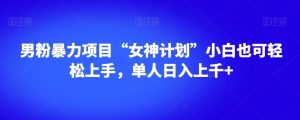 男粉暴力项目“女神计划”小白也可轻松上手，单人日入上千+【揭秘】-润泽资源库