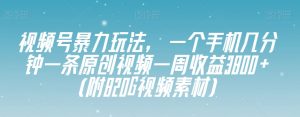 视频号暴力玩法，一个手机几分钟一条原创视频一周收益3800+（附820G视频素材）-润泽资源库
