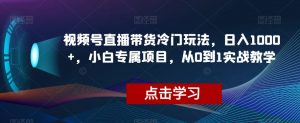 视频号直播带货冷门玩法，日入1000+，小白专属项目，从0到1实战教学【揭秘】-润泽资源库
