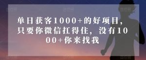 单日获客1000+的好项目，只要你微信扛得住，没有1000+你来找我【揭秘】-润泽资源库
