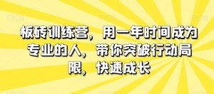 板砖训练营，用一年时间成为专业的人，带你突破行动局限，快速成长-润泽资源库