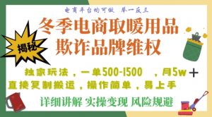 利用电商平台冬季销售取暖用品欺诈行为合理制裁店铺，单日入900+【仅揭秘】-润泽资源库