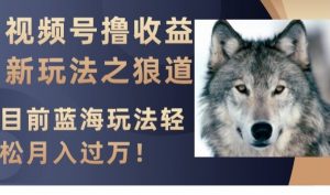 视频号撸收益新玩法之狼道,目前蓝海玩法,轻松月入过万【揭秘】-润泽资源库