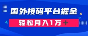 通过国外接码平台掘金：成本1.3，利润10＋，轻松月入1万＋【揭秘】-润泽资源库