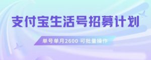 支付宝生活号作者招募计划，单号单月2600，可批量去做，工作室一人一个月轻松1w+【揭秘】-润泽资源库