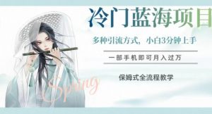 冷门蓝海项目，操作简单，小白3分钟上手，多种引流方式，保姆式全流程教学【揭秘】-润泽资源库