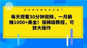 每天观看30分钟视频，一月躺赚1000+美金！保姆级教程，可放大操作【揭秘】-润泽资源库