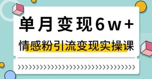 单月变现6W+，抖音情感粉引流变现实操课，小白可做，轻松上手，独家赛道【揭秘】-润泽资源库