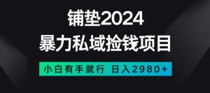 暴力私域捡钱项目,小白无脑操作,日入2980【揭秘】-润泽资源库