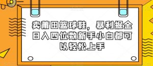 卖莆田篮球鞋，暴利掘金日入四位数新手小白都可以轻松上手【揭秘】-润泽资源库