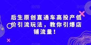 后生原创直通车高投产低价引流玩法，教你引爆店铺流量！-润泽资源库