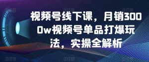 视频号线下课,月销3000w视频号单品打爆玩法,实操全解析-润泽资源库