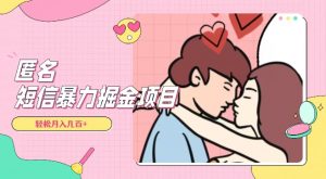 全网首发，揭秘超冷门匿名短信项目，通过信息差日入几百+【揭秘】-润泽资源库