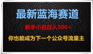 最新蓝海赛道，新手小白日入500+，你也能成为下一个公众号流量主【揭秘】-润泽资源库