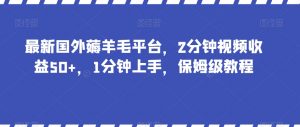 最新国外薅羊毛平台，2分钟视频收益50+，1分钟上手，保姆级教程【揭秘】-润泽资源库